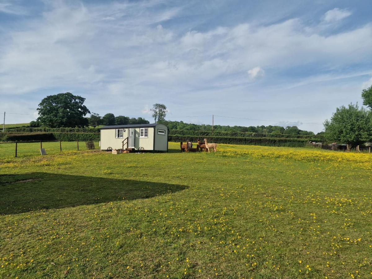 Cwtch Glamping Shepherds Huts Campsite *