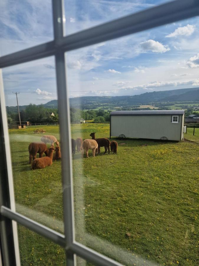 Campsite Cwtch Glamping Shepherds Huts Abergavenny