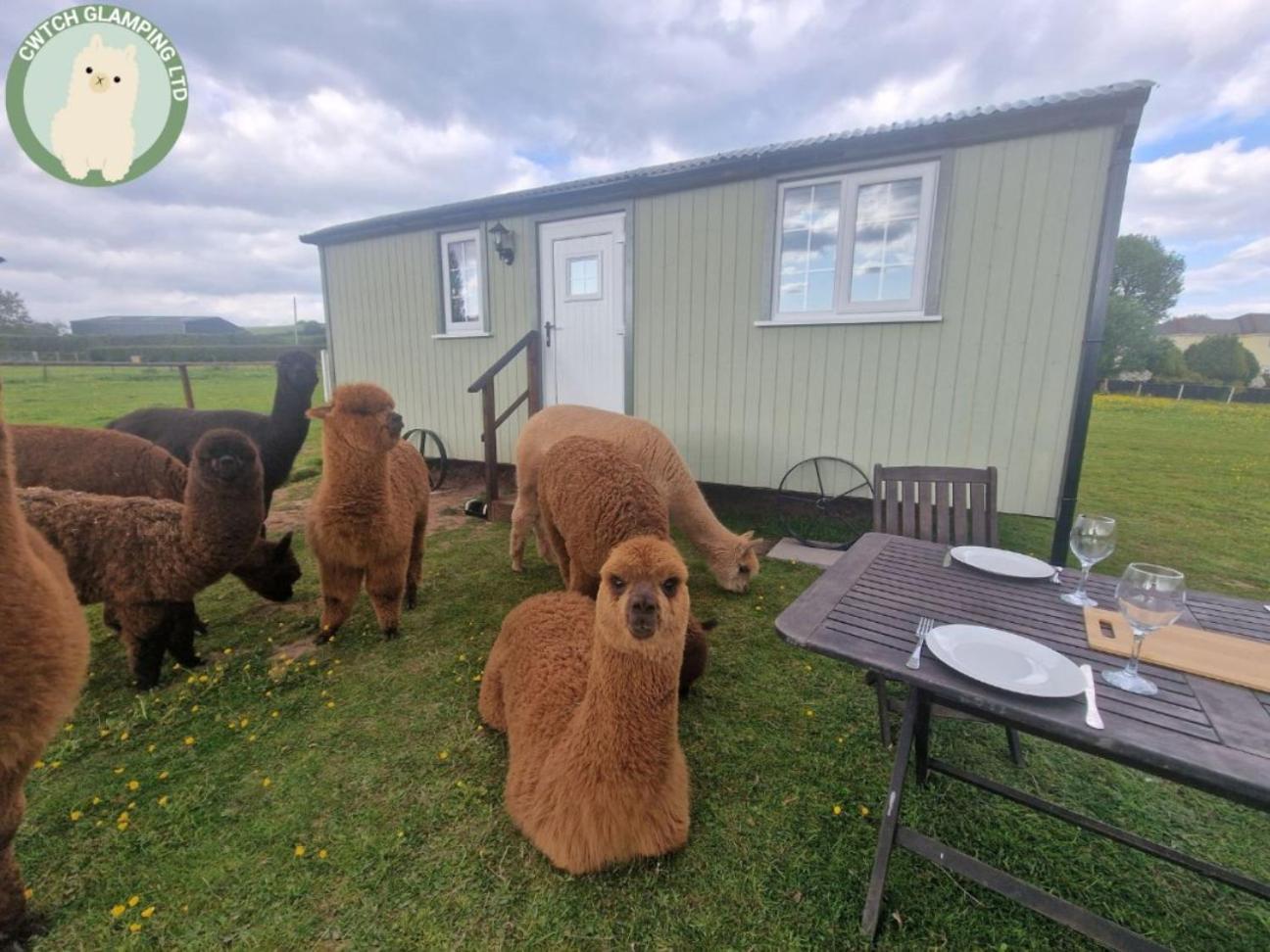 Cwtch Glamping Shepherds Huts Campsite *